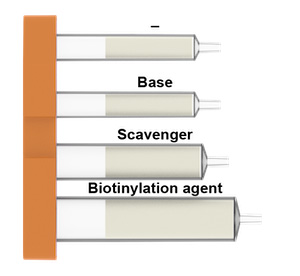 Bio amide car