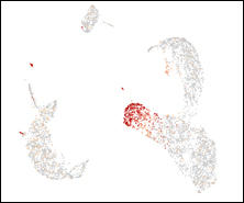 RNA-seq-2