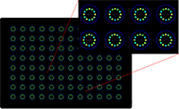 spx-principle-2